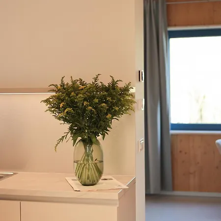 Pensión Casa Brutarului 3*